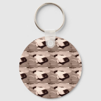 Vintage Kitty/Black and White Photography Key Ring