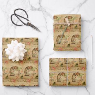 Vintage kitty cat pet stylish kitten retro  wrapping paper sheet