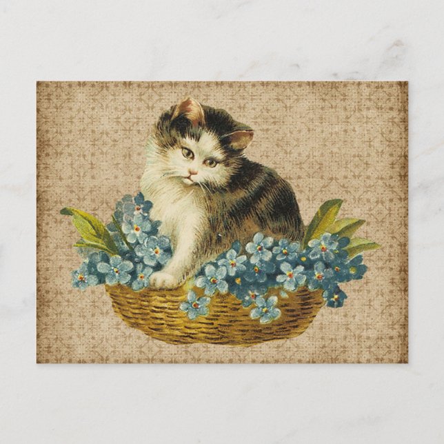 vintage kitty in basket postcard (Front)