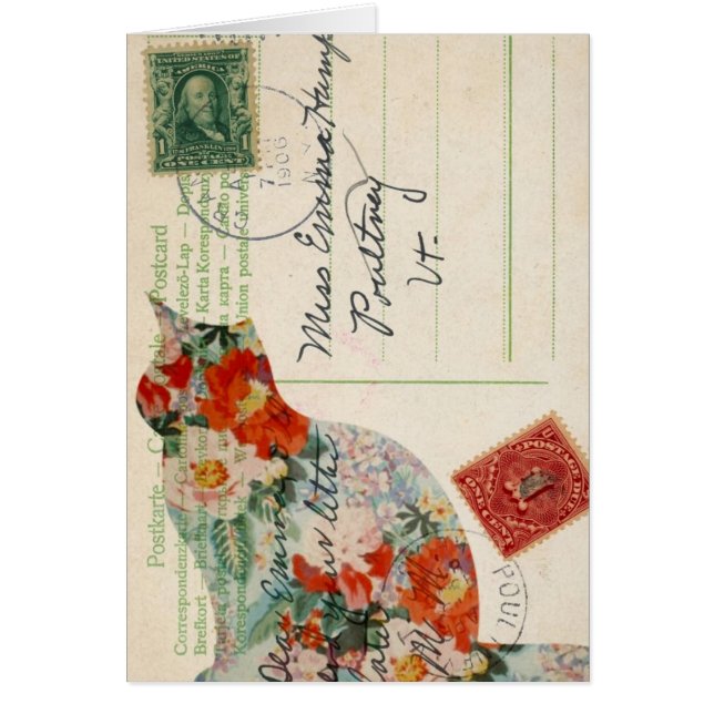 Vintage Kitty Postcard Digital Art (Front)