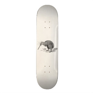 Vintage Kiwi Bird Antique Birds Template Skateboard