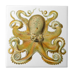 Vintage Kraken, Giant Octopus by Ernst Haeckel Tile