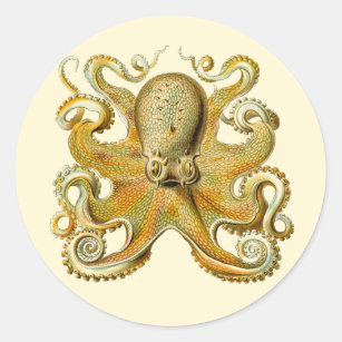 Vintage Kraken, Octopus Gamochonia, Ernst Haeckel Classic Round Sticker