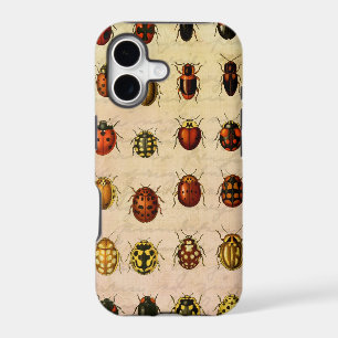 Vintage Ladybug Specimen Pattern Antique Insect