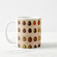 Vintage Ladybug Specimen Pattern Antique Insect