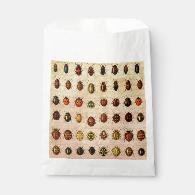 Vintage Ladybug Specimen Pattern Antique Insect Favour Bags (Front)