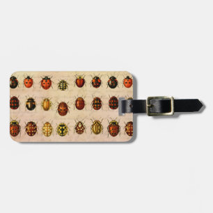 Vintage Ladybug Specimen Pattern Antique Insect Luggage Tag