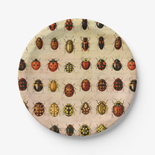 Vintage Ladybug Specimen Pattern Antique Insect Paper Plate