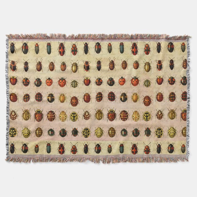 Vintage Ladybug Specimen Pattern Antique Insect Throw Blanket (Front)