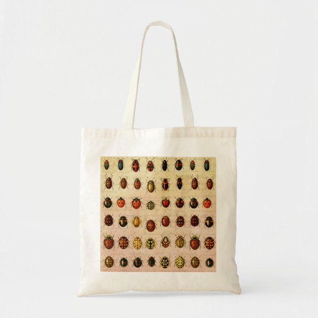 Vintage Ladybug Specimen Pattern Antique Insect Tote Bag (Front)
