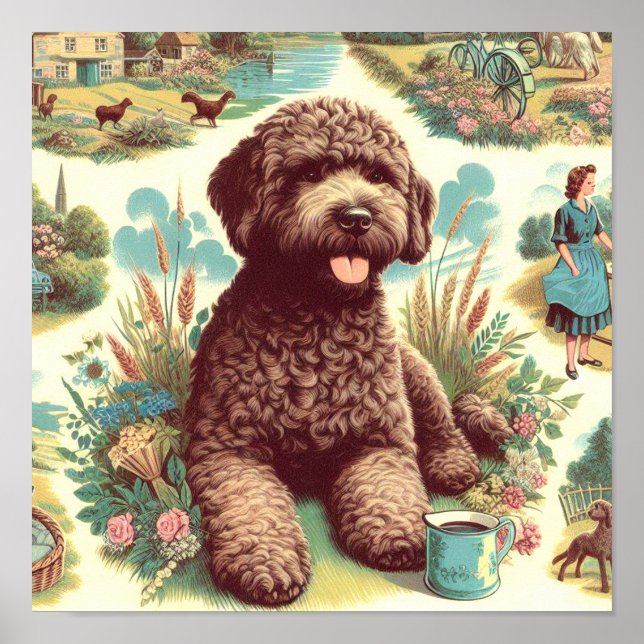 Vintage Lagotto Romagnolo Illustration Poster (Front)