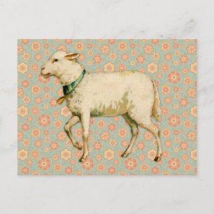 Vintage Lamb Art Postcard