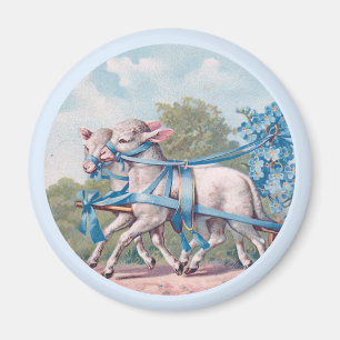 Vintage Lambs Dressed in Fancy Blue Ribbons Magnet