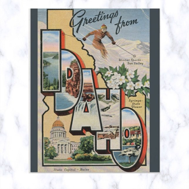 Vintage Large Letter Idaho Postcard (Creator Uploaded)