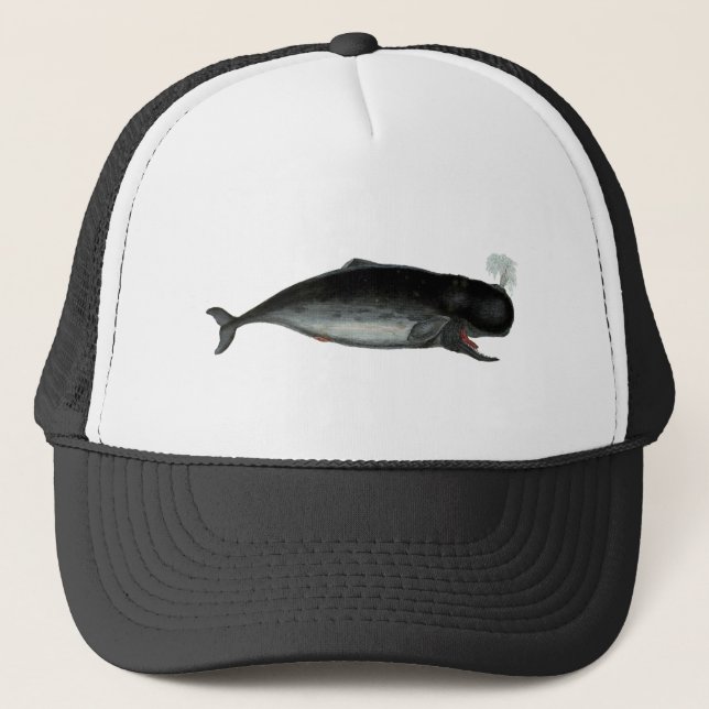 Vintage Laughing Whale Trucker Hat (Front)