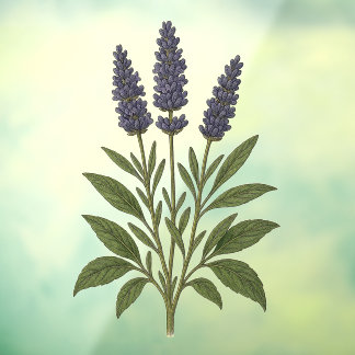Vintage Lavender