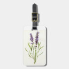 Vintage lavender