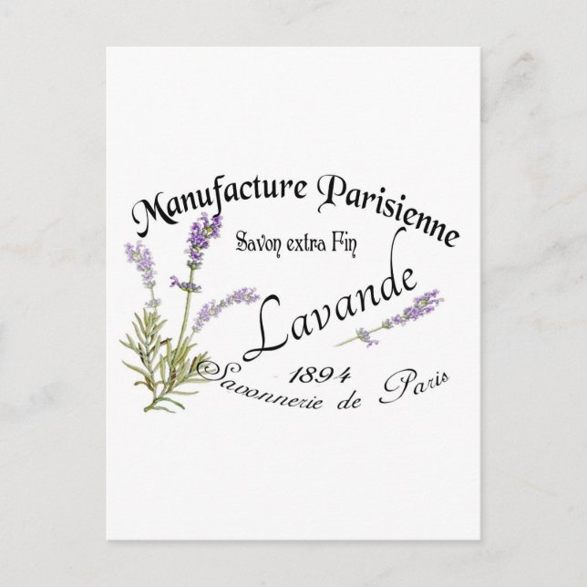 Vintage Lavender Postcard (Front)