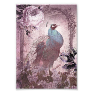 Vintage Lavender Victorian Peacock Photo Print