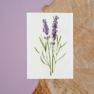 Vintage Lavenders Holiday Card