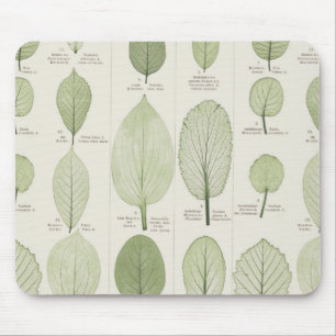 Vintage Leaf Illustrations Mouse Pad