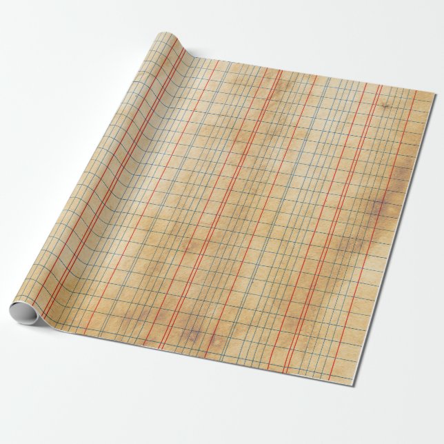 Vintage Ledger Paper Grunge Distressed (Unrolled)