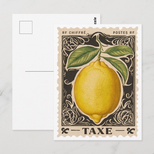 Vintage Lemon Botanical Fruit Postcard  (Front/Back)