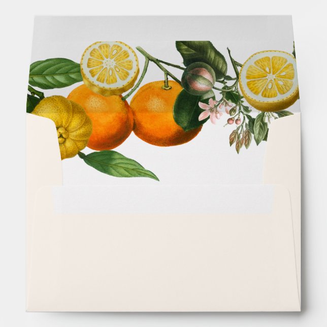 Vintage Lemon Citrus Botanical Wedding  Envelope (Back (Bottom))