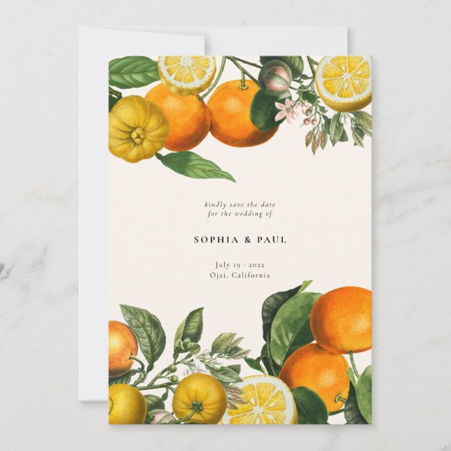 Vintage Lemon Citrus Botanical Wedding Save The Date (Front)