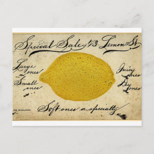 Vintage Lemon Handwritten Postcard Advertisement