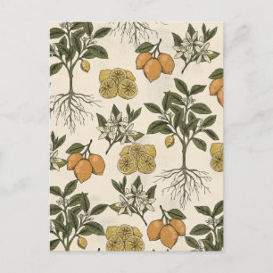 Vintage Lemon Pattern Postcard