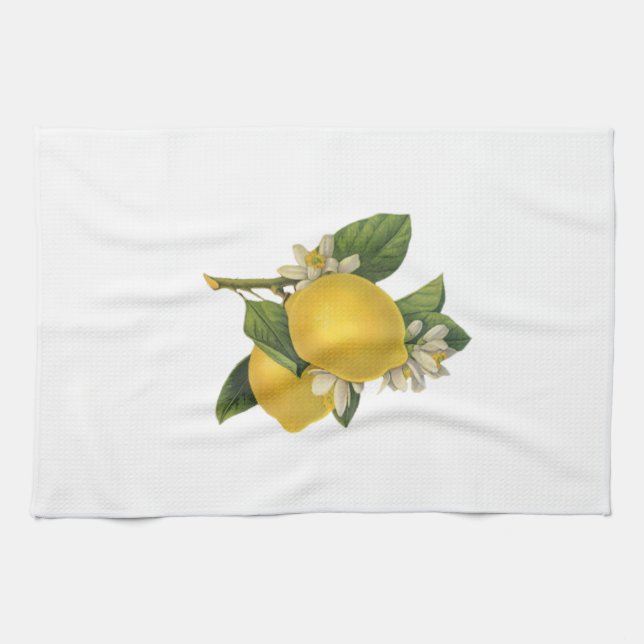 Vintage Lemons Illustration Tea Towel (Horizontal)