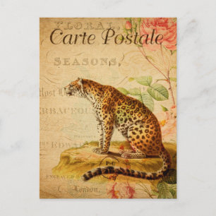 Vintage Leopard Jaguar Wild Animal Floral French Postcard