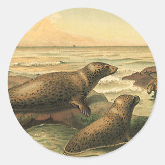 Vintage Leopard Seals by the Ocean, Wild Animals