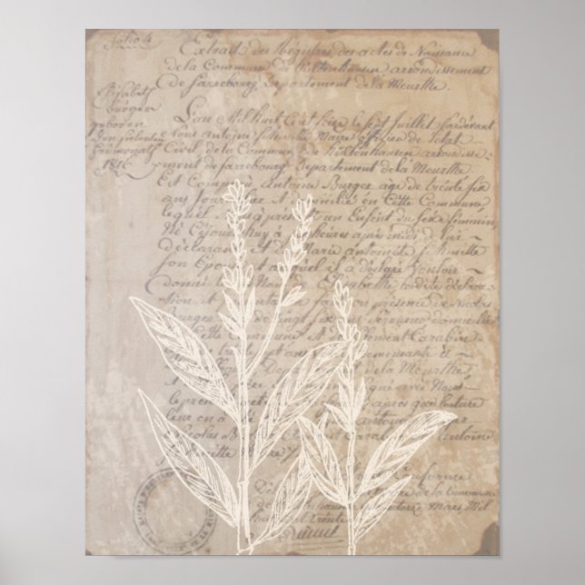 Vintage Letter and Botanical Print Poster (Front)