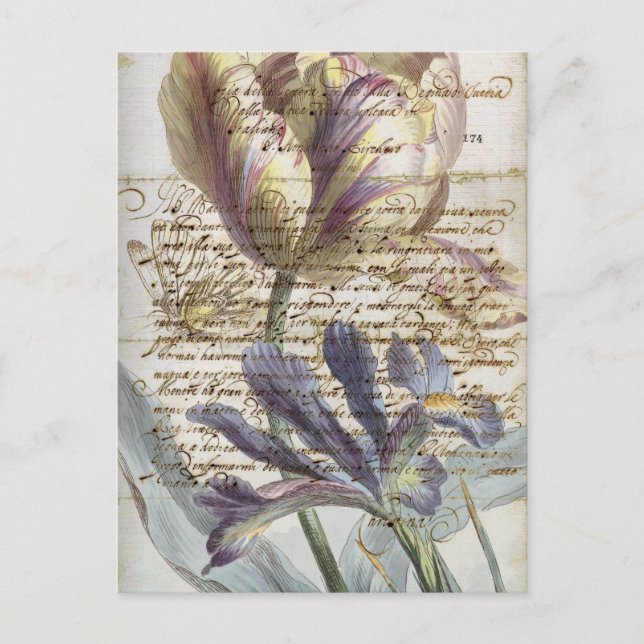 Vintage letter postcard (Front)