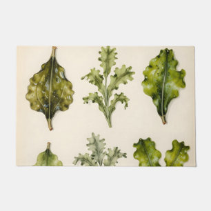 Vintage Lettuce Leaves Botanical Herbarium Green Doormat