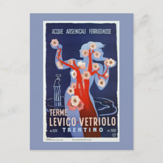 Vintage Levico Terme Trentino Italian travel Postcard