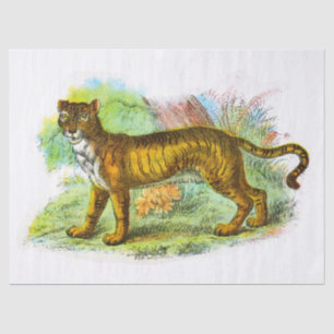 Vintage Liger Or lion Tiger Decoupage Tissue Paper