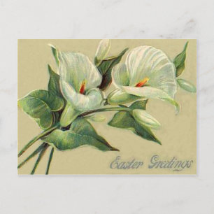 Vintage Lily Easter Card