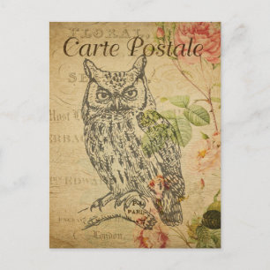 Vintage Line Art Of An Owl Floral French Postcard