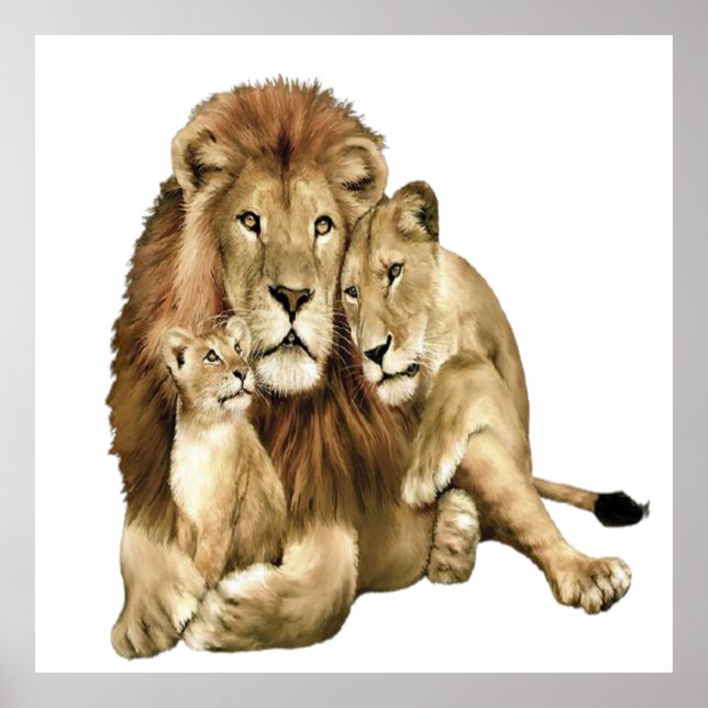 Vintage Lion Family Art Wildlife Poster (Front)