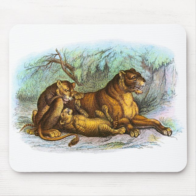 Vintage Lioness And Cubs Illustration Mousepad (Front)