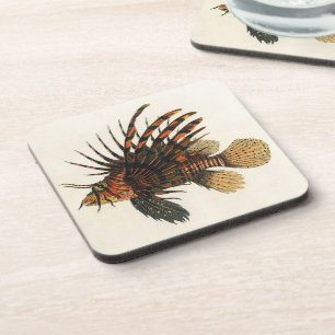 Vintage Lionfish Fish, Marine Ocean Life Animal Coaster