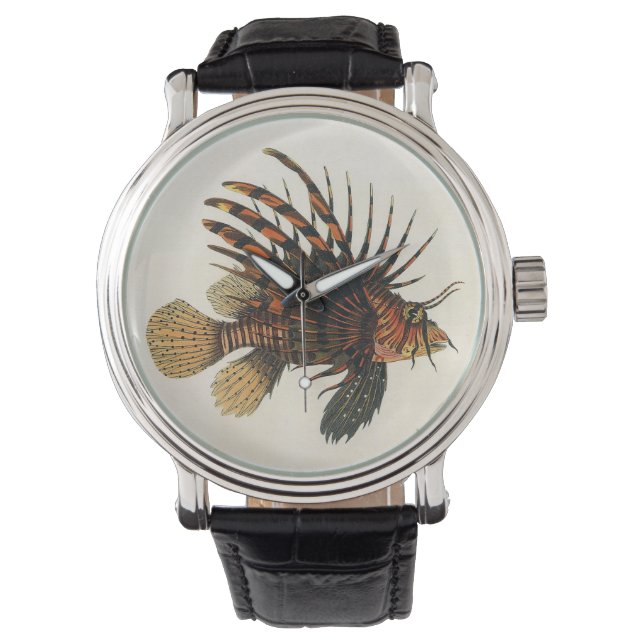 Vintage Lionfish Fish, Marine Ocean Life Animal Watch (Front)