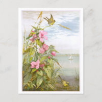 Vintage Lithograph Marsh Mallow with Bird