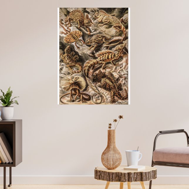 Vintage Lizard Animals by Ernst Haeckel  Poster (Living Room 3)
