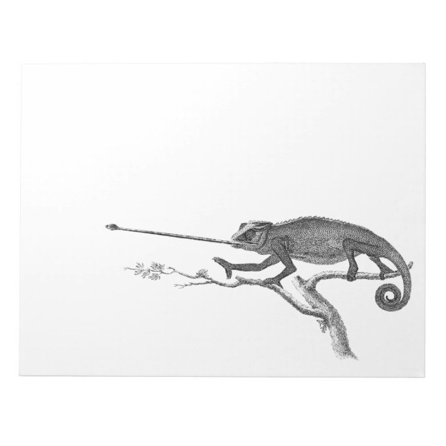 Vintage Lizard Chameleon Illustration Template Notepad (Front)