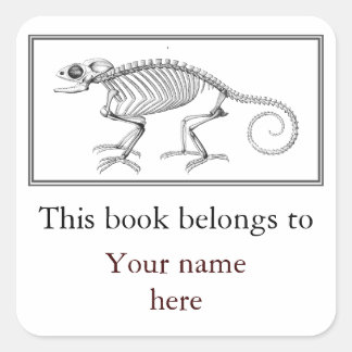 Vintage lizard skeleton bookplate square sticker