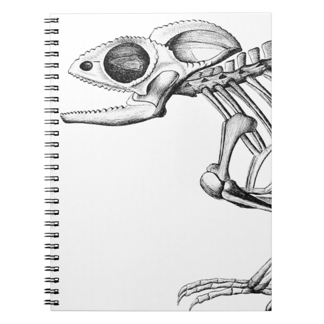 Vintage lizard skeleton notebook (Front)